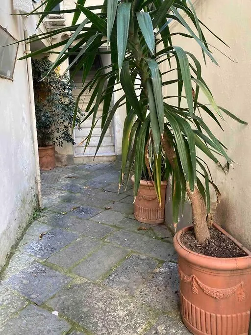 Seafront House Apartment Naples